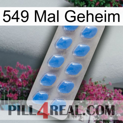 549 Times Secret 22